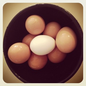 Gorgeous backyard-fresh eggs that I shared with a neighbor.  
