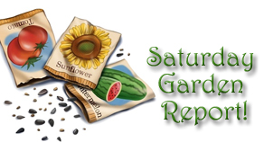 GardenReport