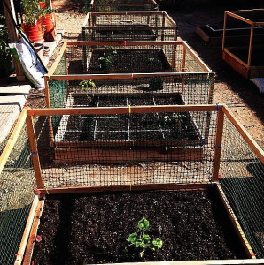 Raised Garden Bed Benefits - the best gardening method for a variety of spaces. | by ImperfectlyHappy.com