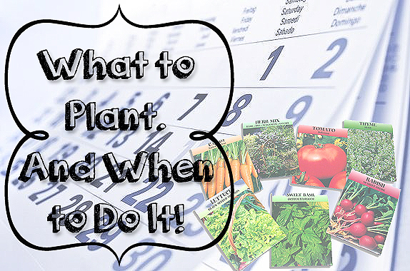 What to Plant and when to Do It!  By ImperfectlyHappy.com