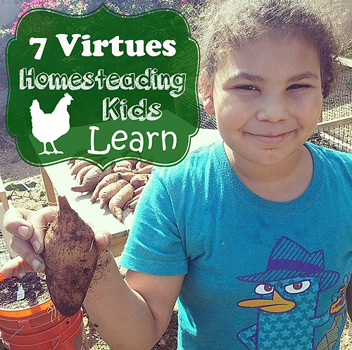 7 Virtues Homesteading Kids Learn by ImperfectlyHappy.com