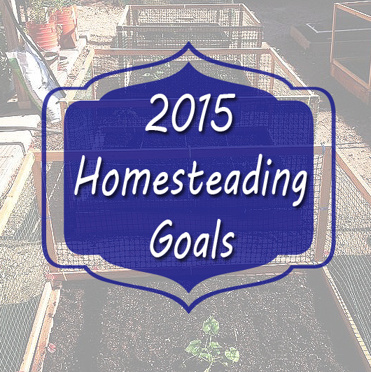 homesteading goals
