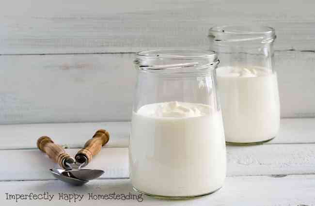 Simple Crock Yogurt Recipe - 2 ingredients!