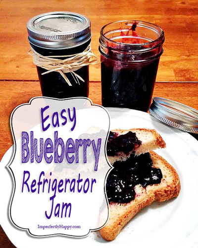 Easy Blueberry Refrigerator Jam Recipe by ImperfectlyHappy.com