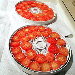 making-tomato-powder 1