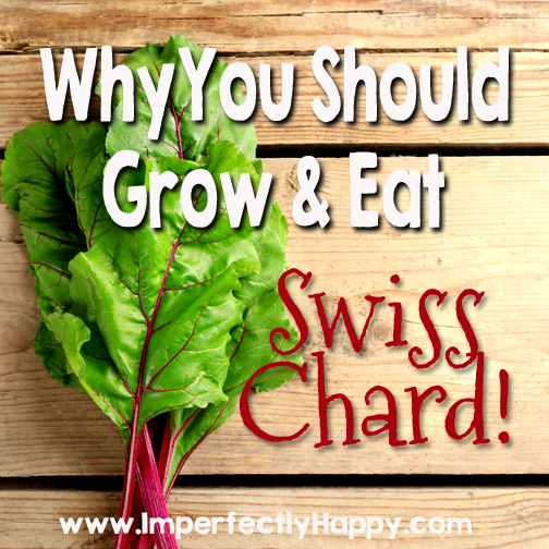 Why you should grow and eat Swiss Chard! | by ImperfectlyHappy.com