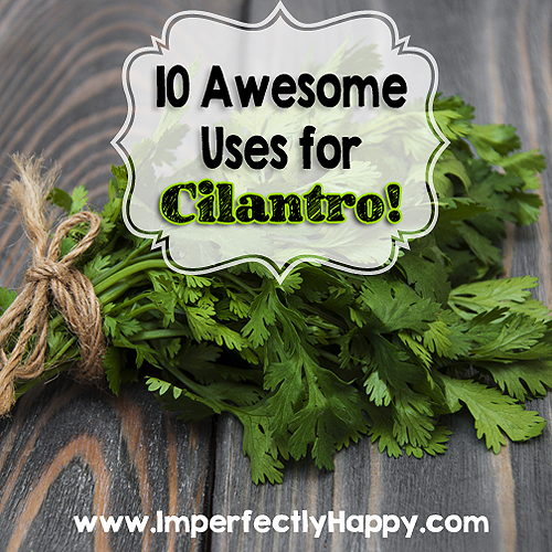 Using Cilantro - 10 Awesome Uses for Cilantro!