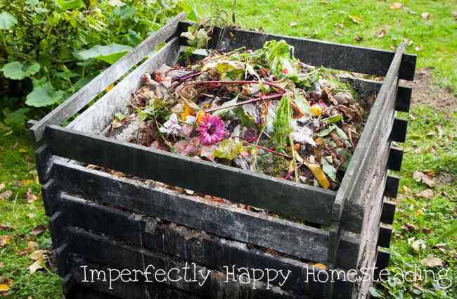 Troubleshooting Your Compost Problems
