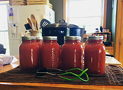 Highlighting Homesteaders - Jenn of Little House on the 100. This weekly series introduces you to homesteaders, backyard farmers, urban farmers and homesteaders with acres. Join me every Friday| ImperfectlyHappy.com
