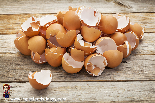 8 Fantastic Ways to Reuse Eggshells on the Homestead! | ImperfectlyHappy.com