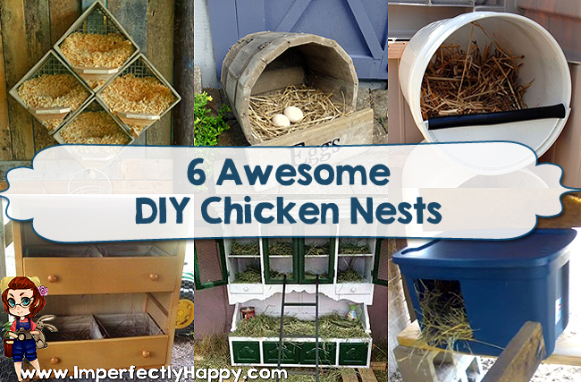 6 Awesome DIY Chicken Nests that anyone can make and use on their homestead. |ImperfectlyHappy.com