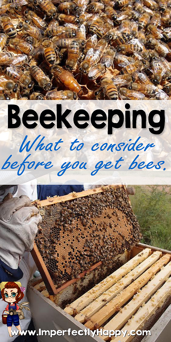 Beekeeping - what to consider BEFORE you get bees! | ImperfectlyHappy.com
