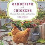 gardening-with-chickens