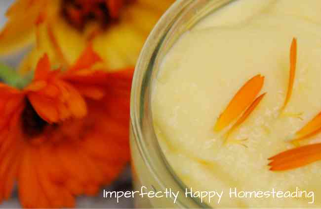 Calendula Salve with Mango Butter - Creamy, Healing and Simple to Make