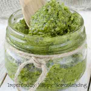 Carrot Top Pesto - use your fresh garden goodness in this simple and delicious recipe.