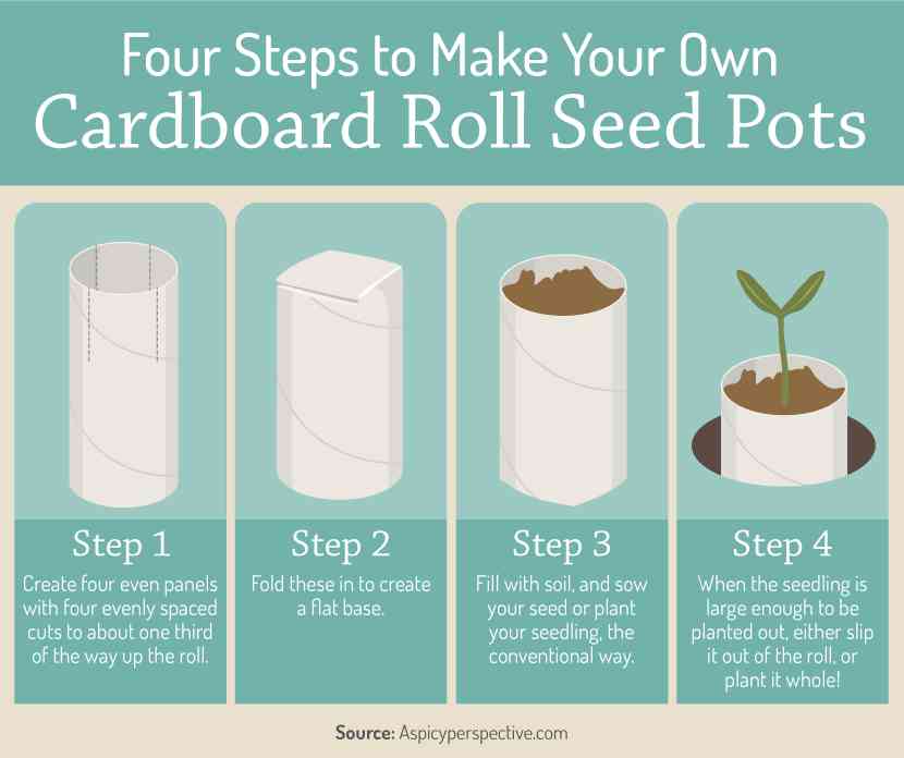 Frugal DIY Seed Starter Pots Free and Cheap - get started making your own seedling pots today!