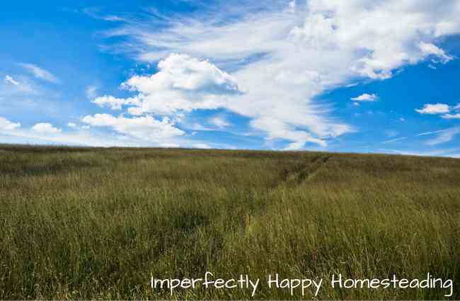 Where Free Land Can Be Found in the 21st Century for Your Homestead!