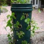 10 Awesome Ways to Use 5 Gallon Buckets on the Homestead