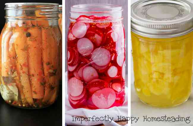 Pickling Recipes You Will Love That Do Not Use Cucumbers