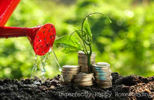 How to Cut Your Homestead Costs