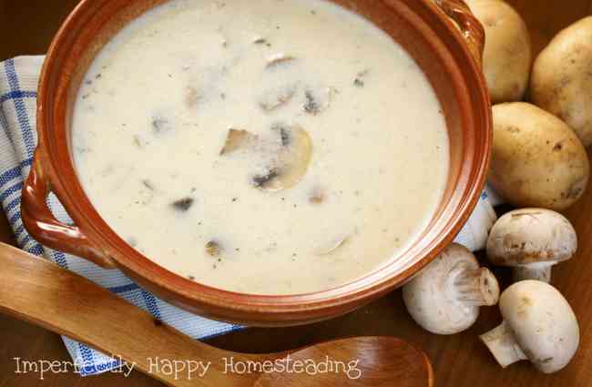 Homemade Gluten Free Cream of Mushroom Soup Recipe